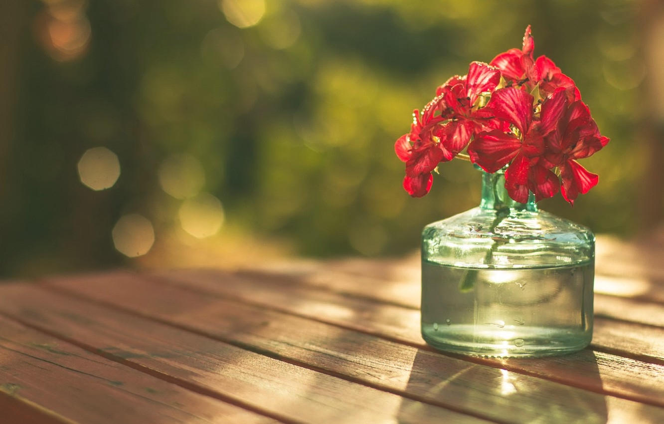 Tử vi ngày 14102021 Tuổi Thân rất vượng đào hoa tuổi Sửu vướng nhiều rắc rối