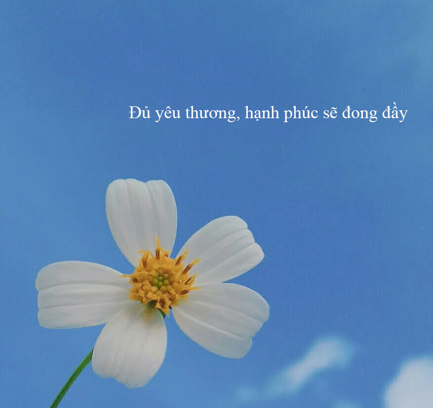 Hương vị tình thân Tình thân là mãi mãi - chỉ cần ta mở lòng, tình thân luôn bên cạnh