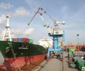 Viconship VSC chào bán 55 triệu cổ phiếu tăng gấp đôi vốn điều lệ