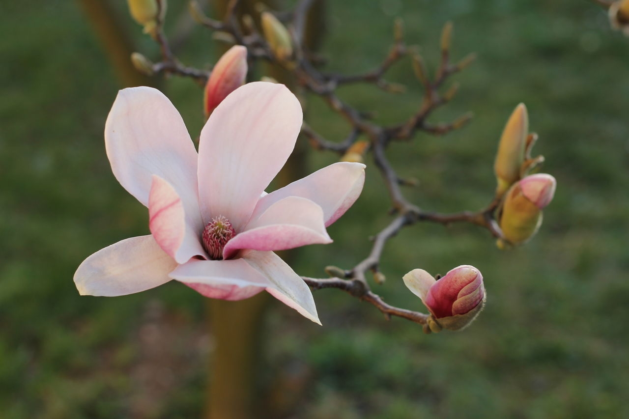 Tử vi ngày 19102021 Tuổi Thân vượng vận quý nhân tuổi Tỵ tình duyên trắc trở