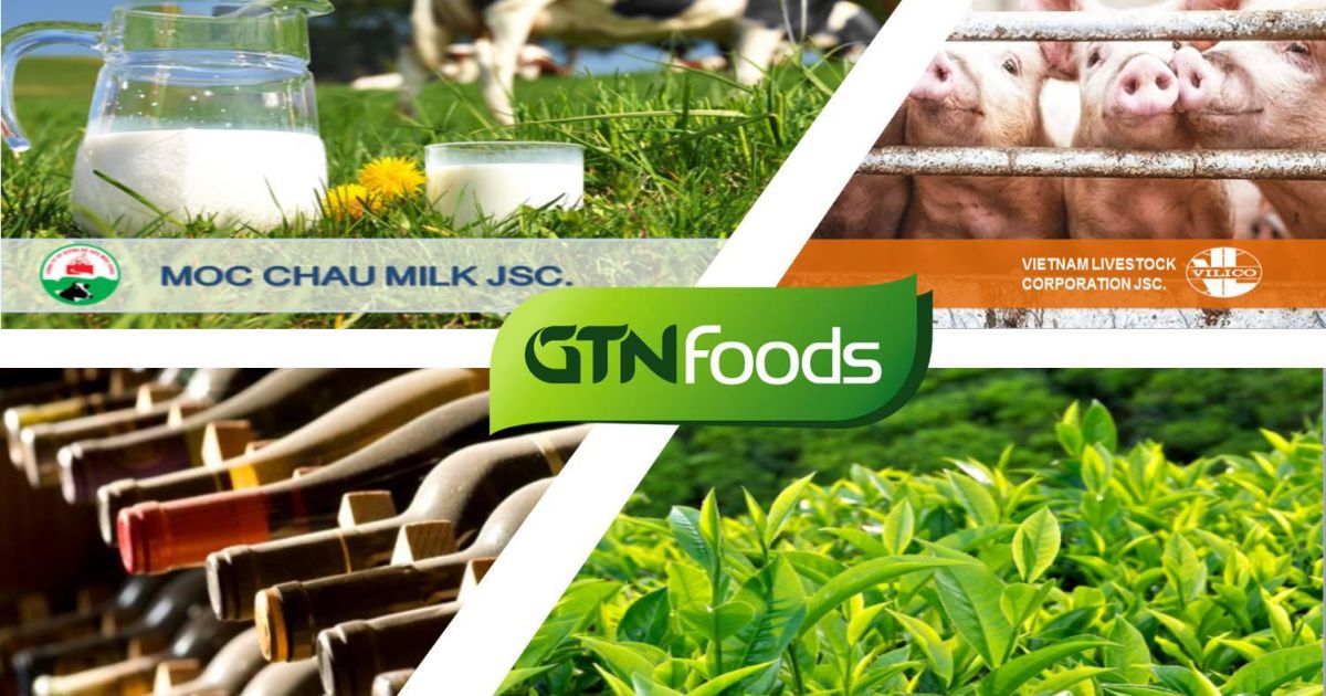 GTNFoods bị xử phạt vì chậm công bố thông tin