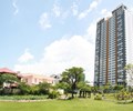 Cổ phiếu Vạn Phát Hưng VPH vào diện cảnh báo 