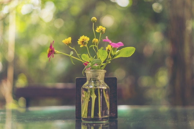 Tử vi ngày 24102021 Tuổi Dậu tình duyên suôn sẻ tuổi Tỵ tâm trạng bất an