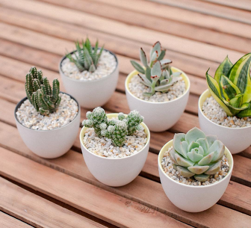 Tử vi 12 cung hoàng đạo tuần từ 2510 - 3110 Sư Tử đón tín hiệu khả quan về tài lộc Ma Kết cần cẩn trọng khi ra quyết định