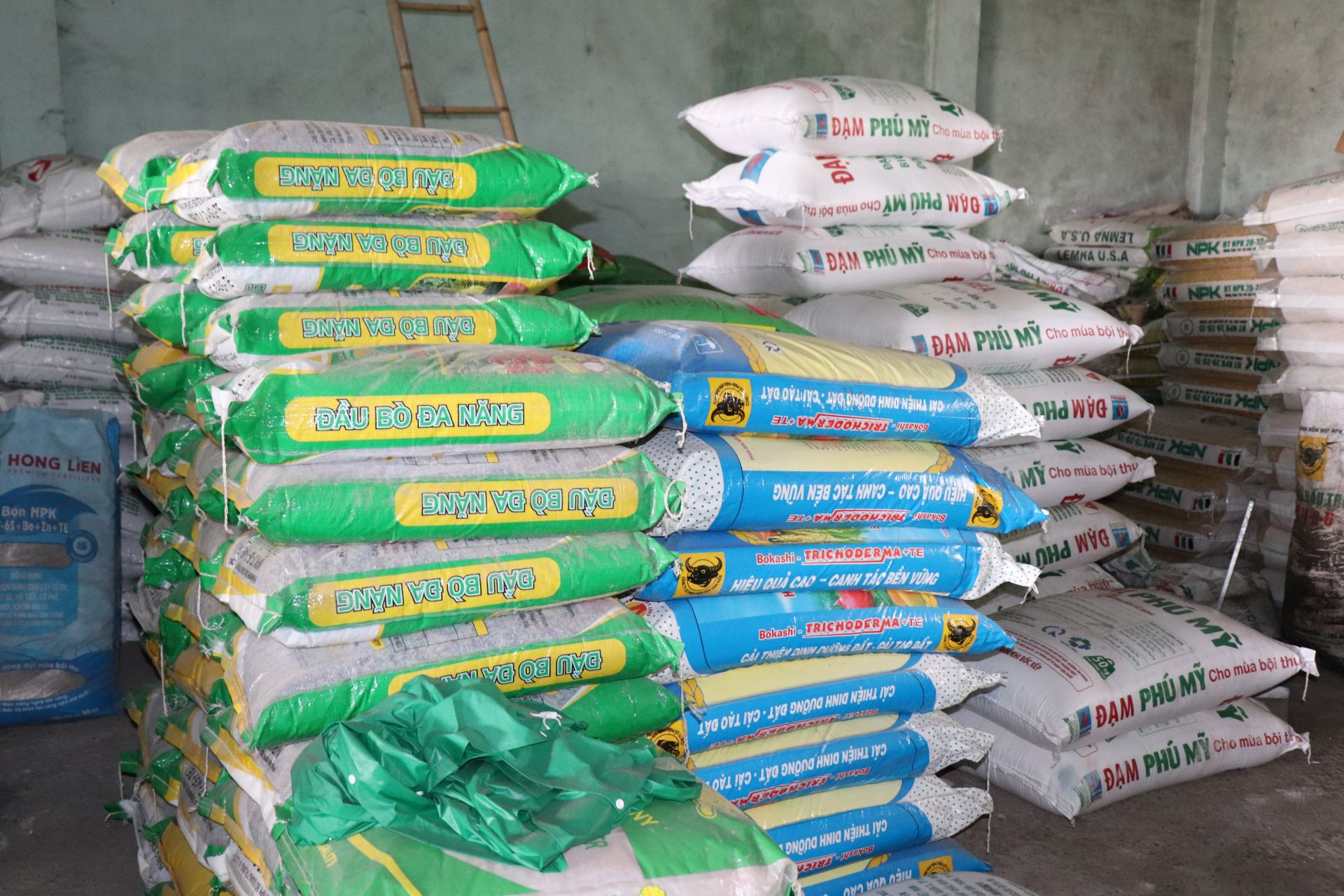 Giá phân bón tăng gấp 3 lần nông dân muốn bỏ ruộng, ngành nông nghiệp bàn cách gỡ