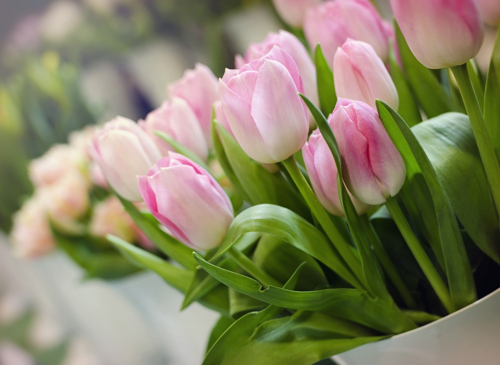 Tử vi 12 cung hoàng đạo ngày 28102021 Nhân Mã đón cơ hội đầu tư triển vọng Cự Giải khúc mắc tình cảm