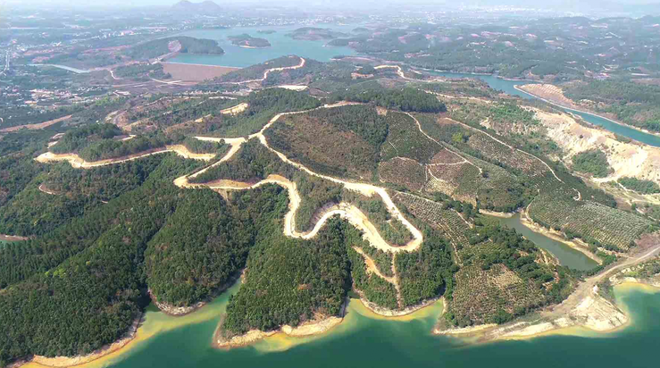 Lâm Đồng Công ty Sài Gòn - Đại Ninh đền bù gần 19 tỷ đồng vì làm mất 257 ha rừng