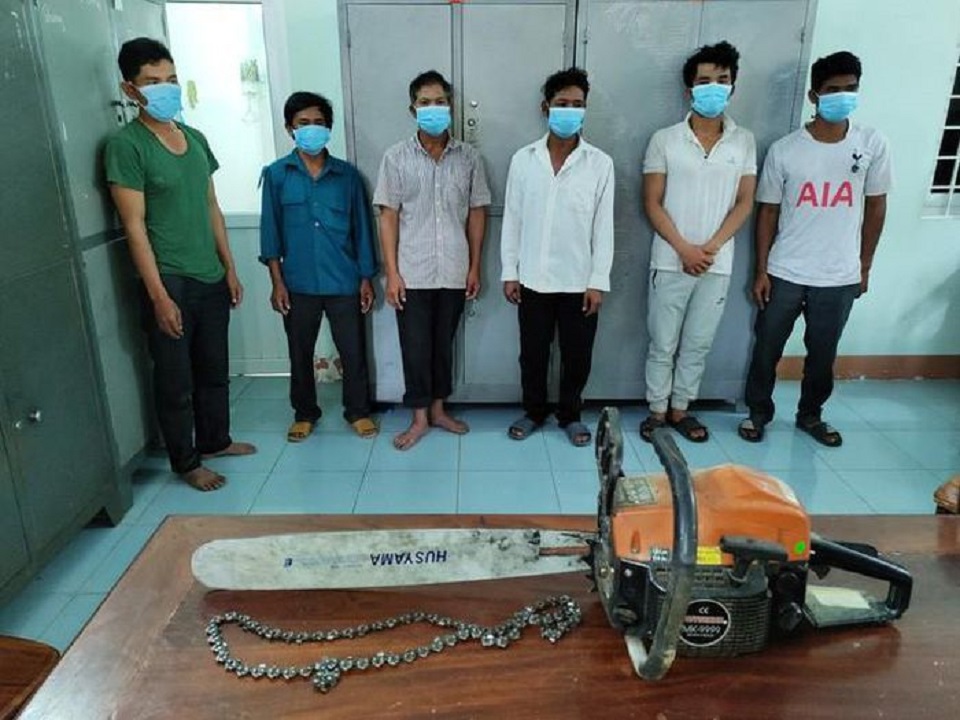 Đắk Lắk Khởi tố nhóm đối tượng khai thác gỗ trái phép 