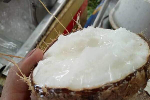 Dừa sáp Trà Vinh có mặt ở thị trường Úc