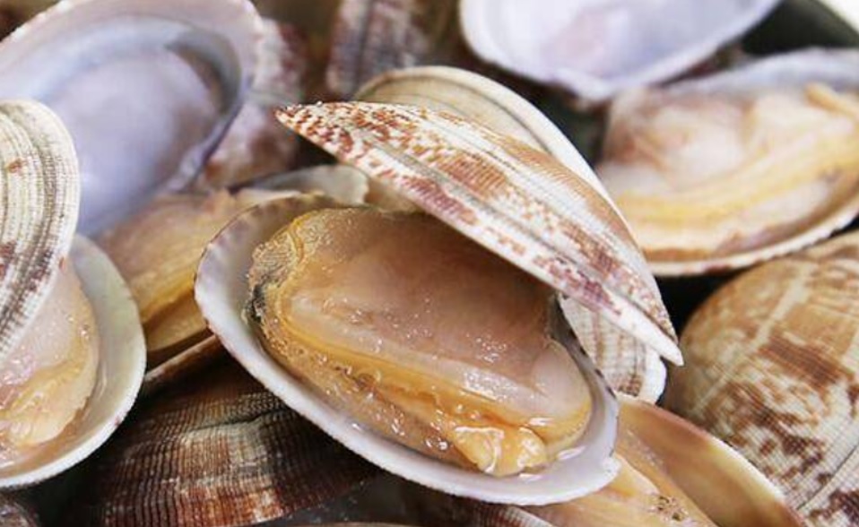 Bí quyết sơ chế ngao tuyệt đỉnh của người dân miền biển