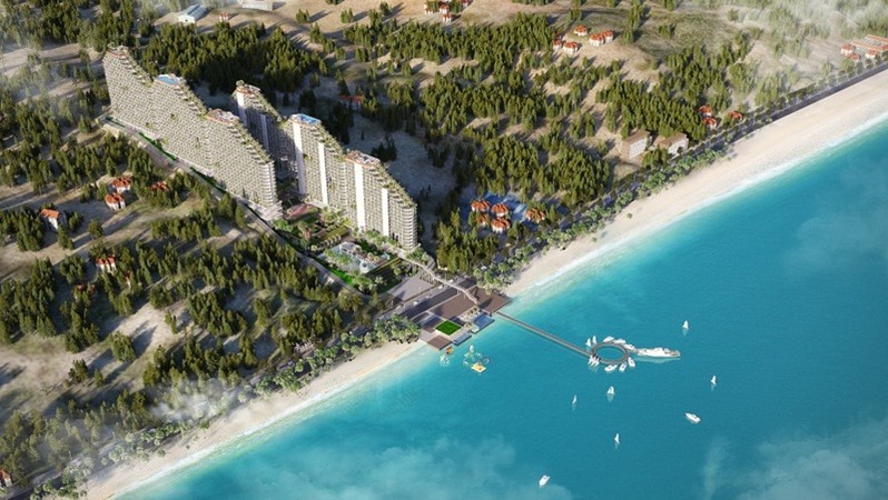 Chậm công bố thông tin, vợ Chủ tịch IDJ bị phạt 15 triệu đồng