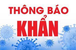 Hà Nội ra thông báo khẩn, tìm người đến mua bán tại chợ vải Ninh Hiệp