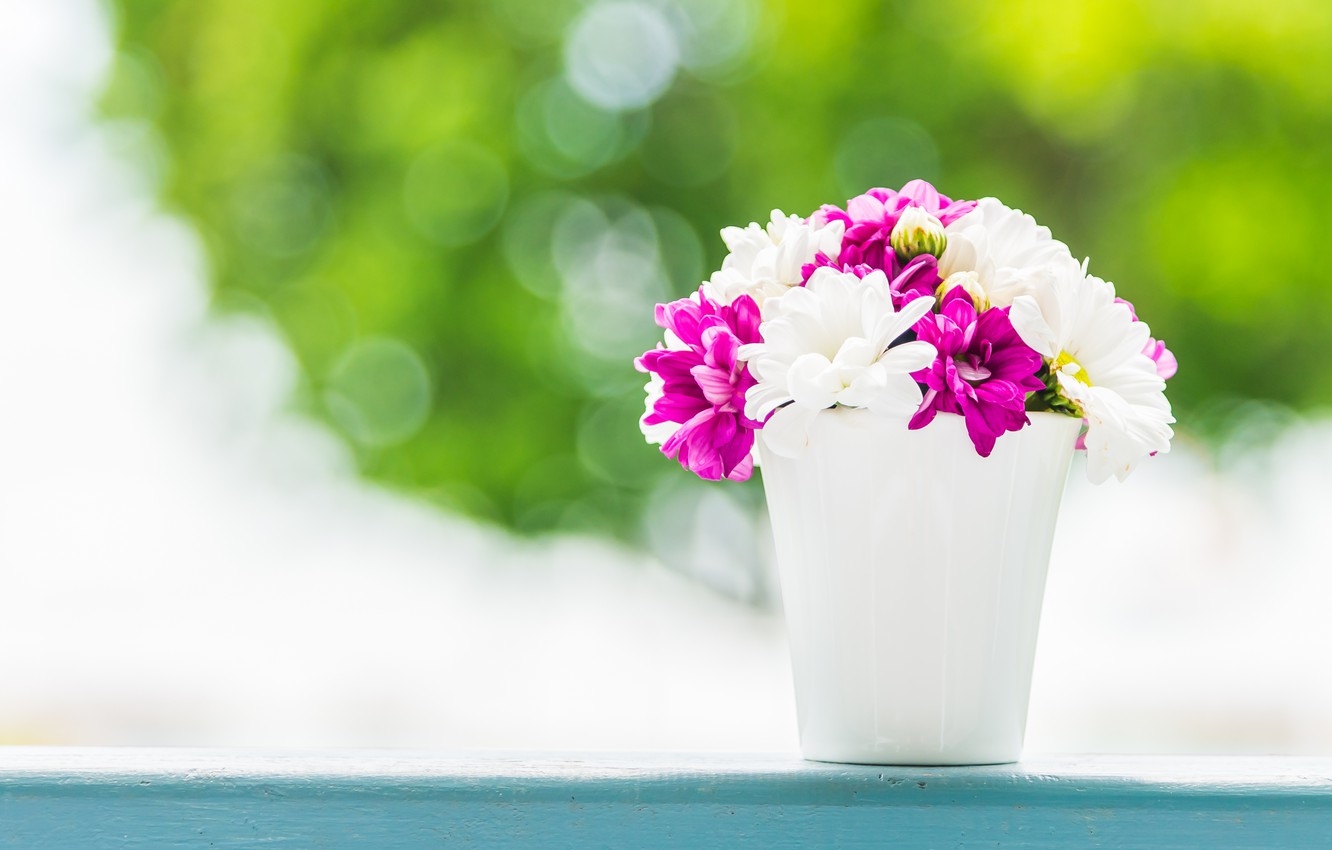 Tử vi 12 cung hoàng đạo ngày 4112021 Bạch Dương dư dả tài chính Song Ngư căng thẳng