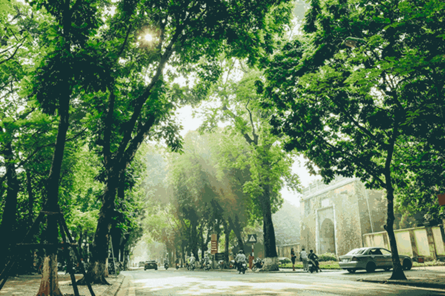 Dự báo thời tiết hôm nay 511 Hà Nội tạnh ráo, ấm áp trước khi đón đợt rét dài ngày