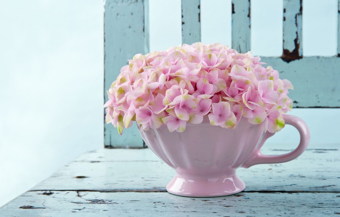 Tử vi ngày 9112021 Tuổi Thìn thăng tiến rộng mở tuổi Dần rối ren tình cảm