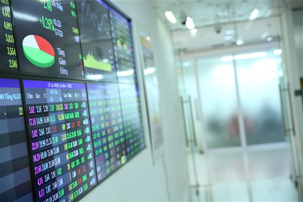 Cổ đông lớn của VIG bị phạt do mua bán không báo cáo