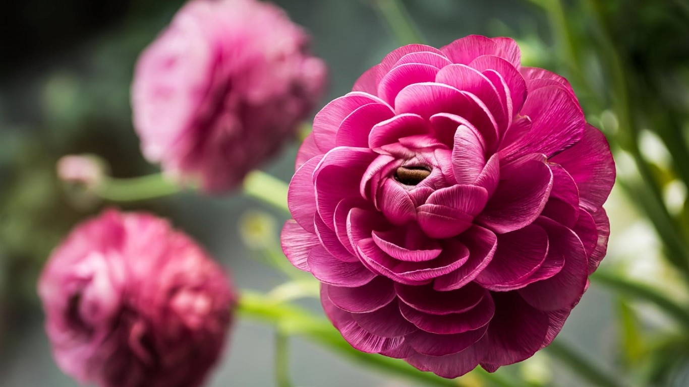 Tử vi 12 cung hoàng đạo ngày 16112021 Song Tử cần có kế hoạch quản lý tài chính Bọ Cạp quyết đoán