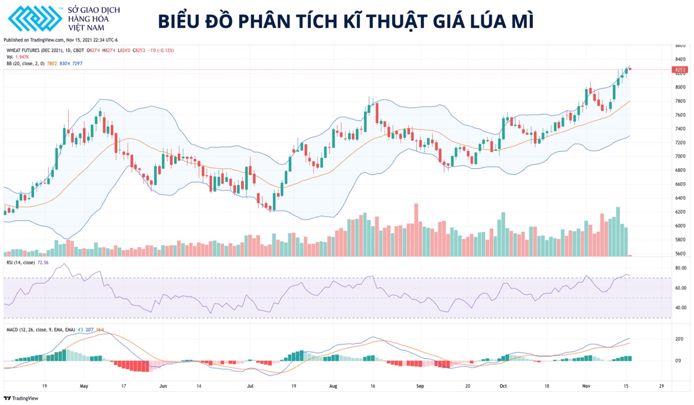 Đà tăng của lúa mì đang có dấu hiệu chững lại