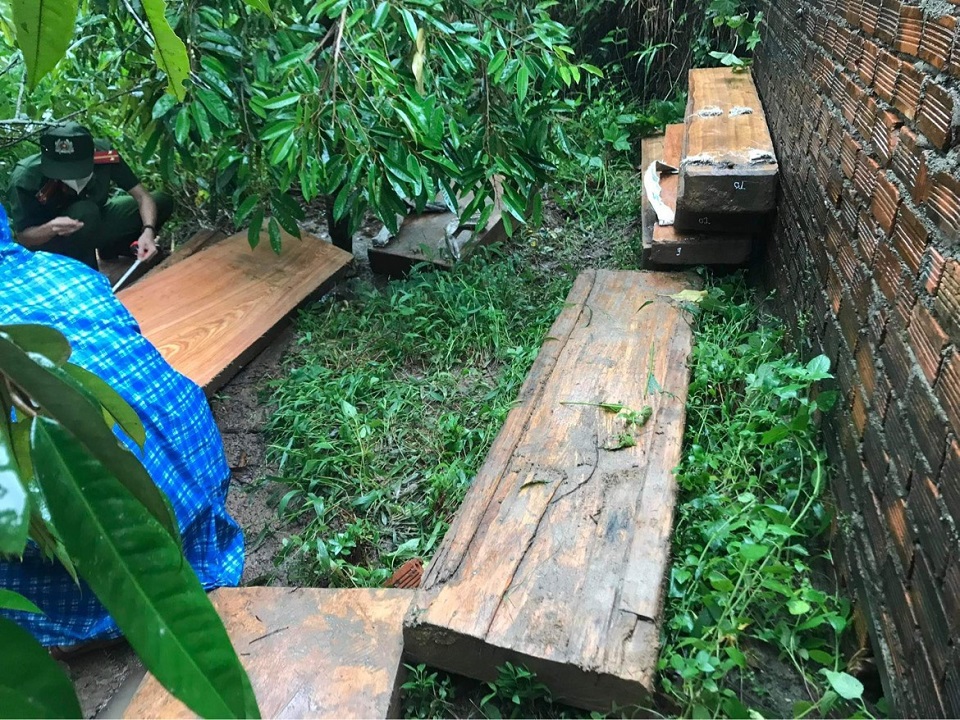 Đắk Lắk Phát hiện vụ vận chuyển, tàng trữ gỗ trái phép