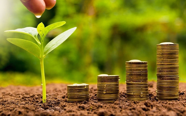 Lịch chốt quyền cổ tức tiền mặt của các doanh nghiệp tuần 22 - 26112021