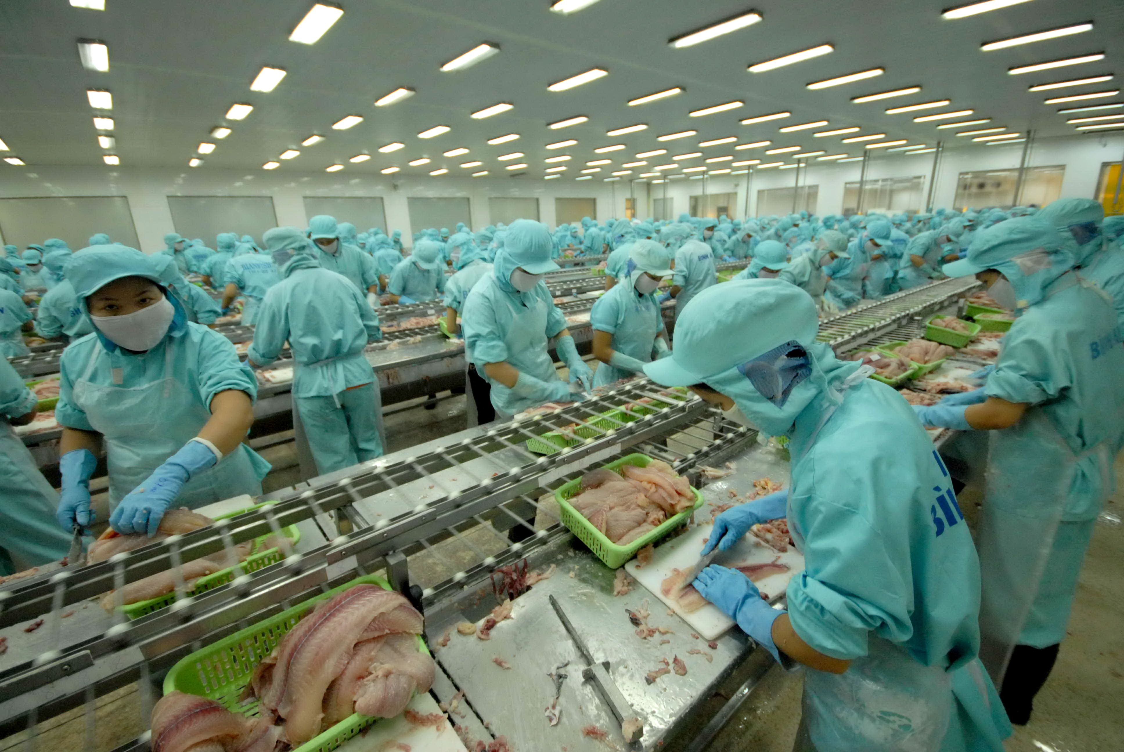 Việt Nam tăng mạnh xuất khẩu thuỷ sản sang Phillipines