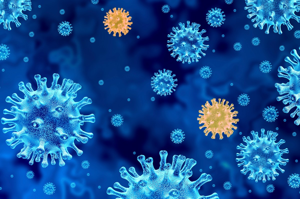 WHO họp khẩn về biến thể mới chứa nhiều đột biến nguy hiểm