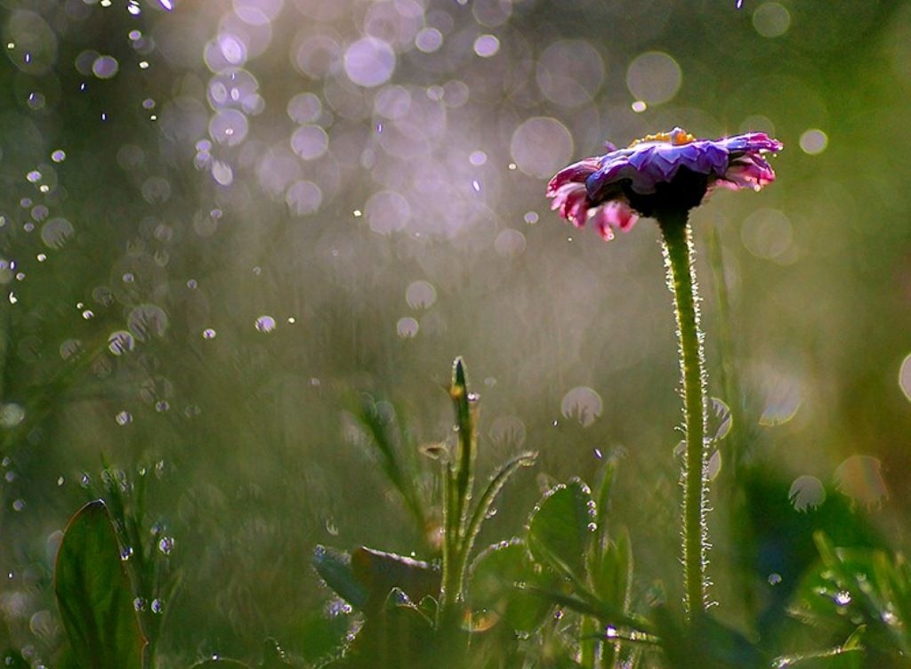 Tử vi 12 cung hoàng đạo ngày 28112021 Nhân Mã chi tiêu phóng khoáng Kim Ngưu rắc rối sự nghiệp