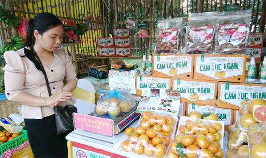 Sắp diễn ra “Hội chợ đặc sản vùng miền Việt Nam 2021”