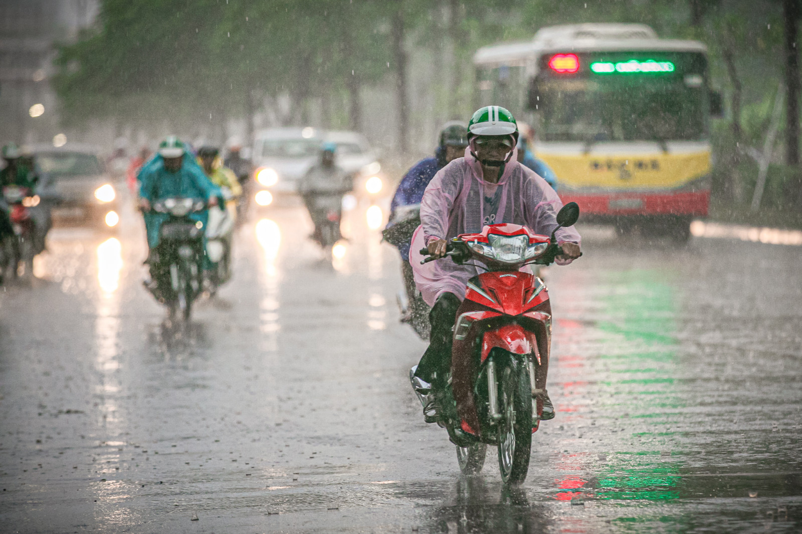 Dự báo thời tiết ngày 2911 Miền Bắc có nắng vào ban ngày, miền Trung mưa lớn