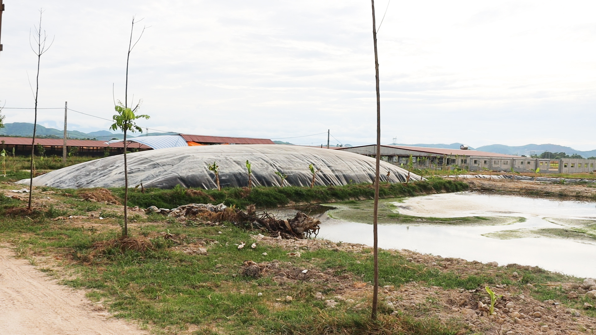 Vi phạm bảo vệ môi trường, một công ty ở Hà Tĩnh bị phạt tới 1,25 tỷ đồng