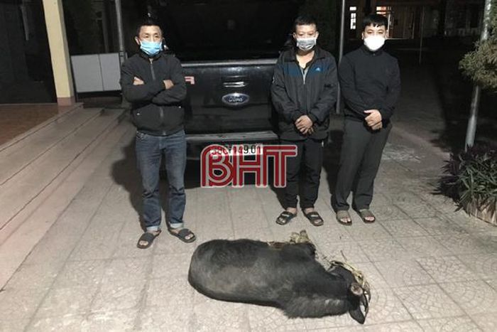 Hà Tĩnh Khởi tố 4 đối tượng vi phạm quy định bảo vệ động vật nguy cấp, quý hiếm