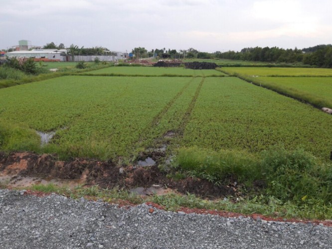 Có 27 dự án cần thu hồi đất trong kế hoạch sử dụng đất 2022 tại TP.HCM