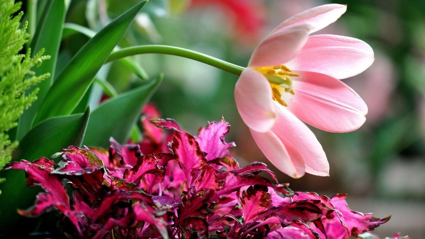 Tử vi 12 cung hoàng đạo ngày 11122021 Bạch Dương căng thẳng tình cảm Kim Ngưu tự tin thỏa sức 