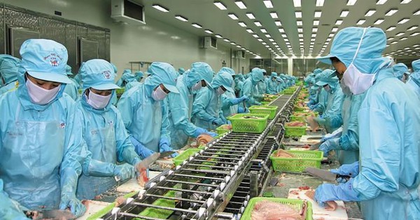 Cổ phiếu IDI đảo chiều ngoạn mục sau tin Phó Chủ tịch gom mua 10 triệu cổ phiếu