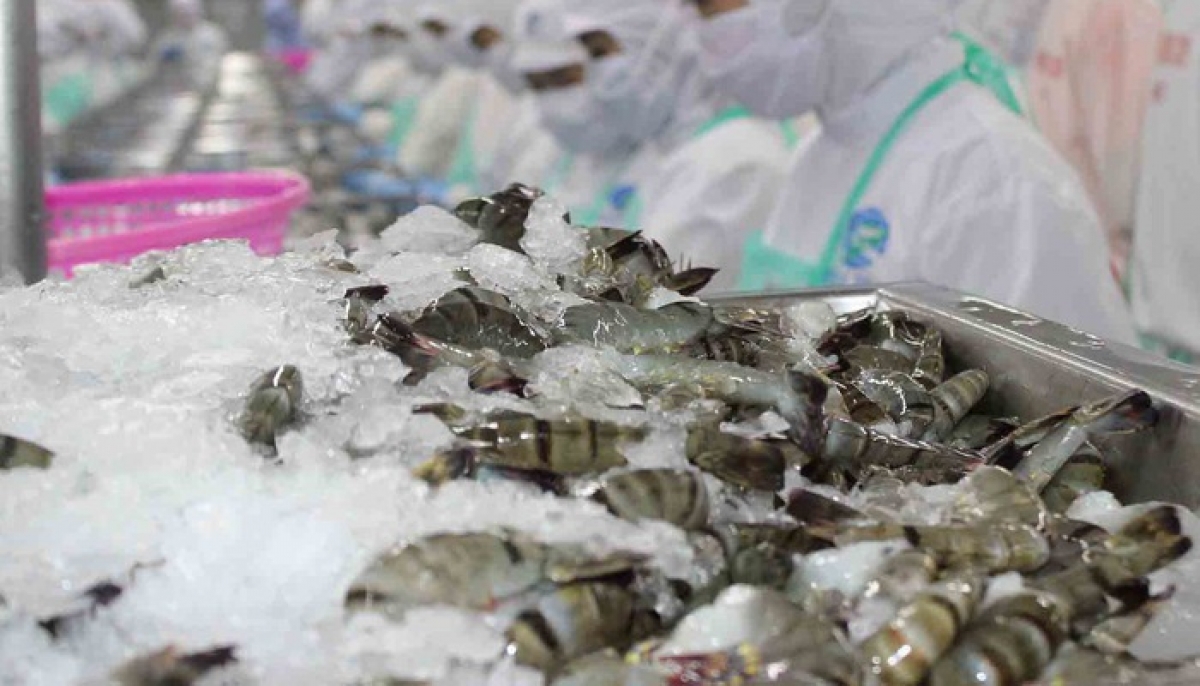 Việt Nam tăng mạnh xuất khẩu tôm sang một số nước trong khối CPTPP