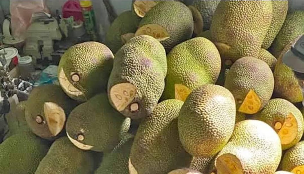 Giá mít Thái giảm mạnh, thị trường Hà Nội chỉ còn 10.000 đồngkg