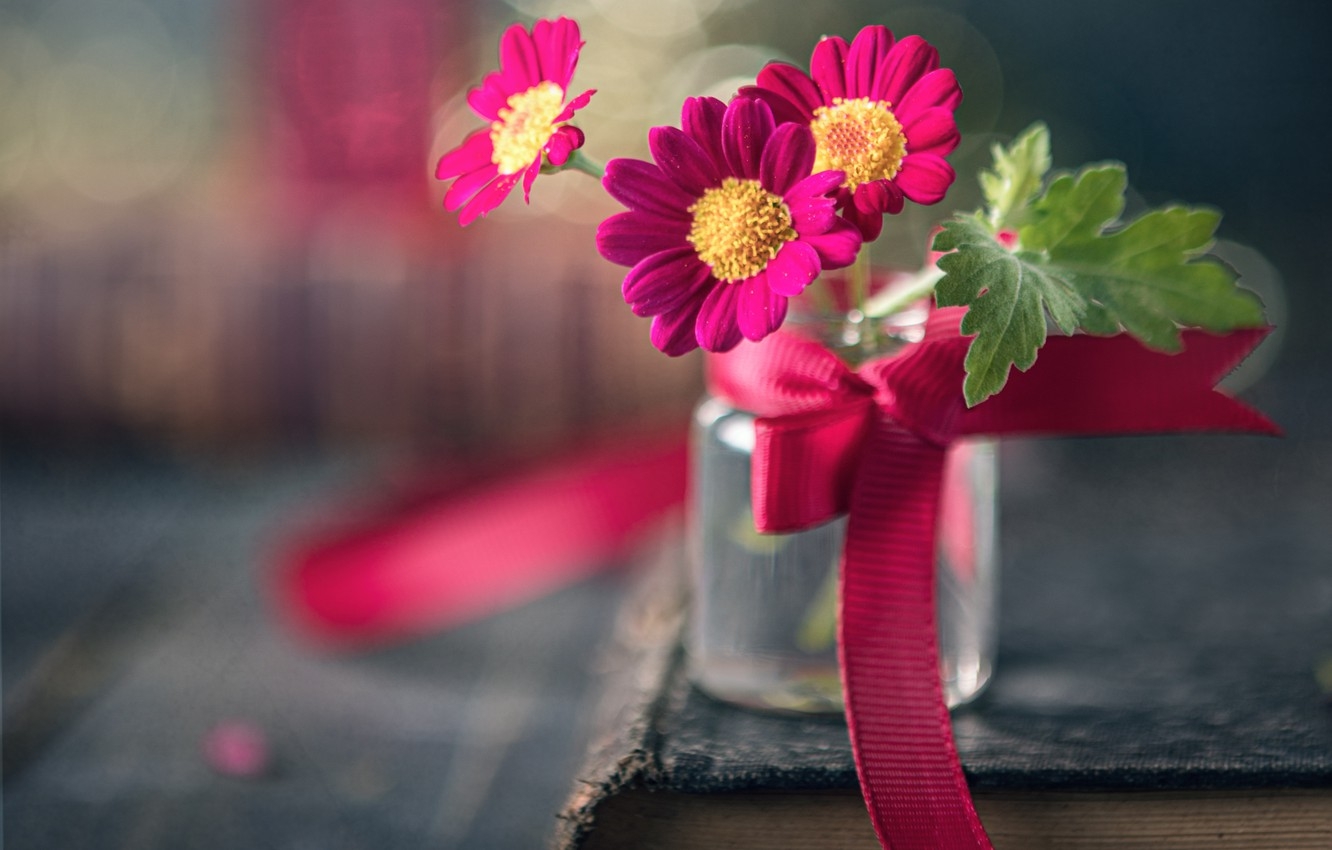 Tử vi ngày 19122021 Tuổi Tuất thăng tiến sự nghiệp tuổi Mão sóng gió tình cảm