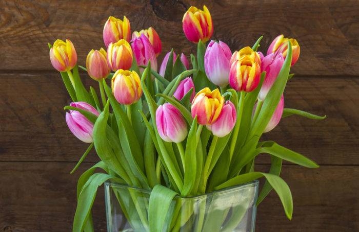 Tử vi của 12 cung hoàng đạo tuần từ 2012 - 2612 Ma Kết biến động sự nghiệp Thiên Bình cần tiết chế chi tiêu