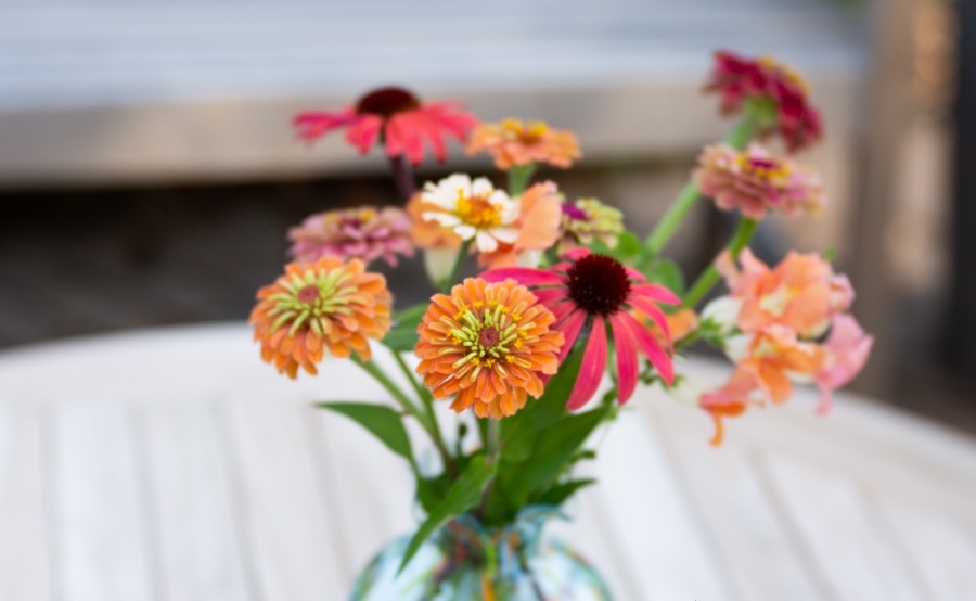 Tử vi ngày 20122021 Tuổi Mùi phát huy lợi thế công việc tuổi Ngọ tràn đầy nhiệt huyết