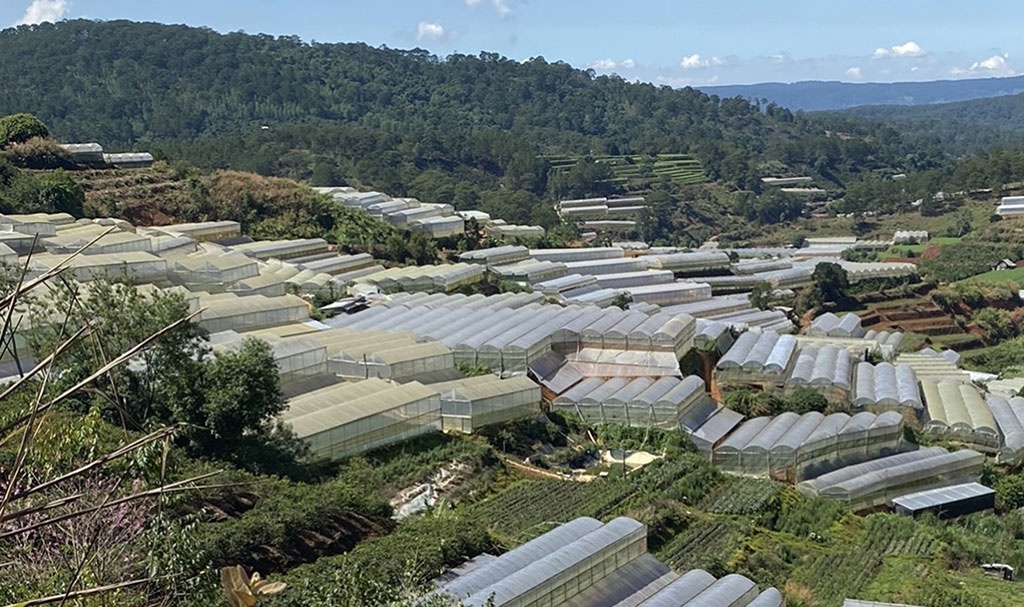 TP Đà Lạt Xử lý nghiêm các công trình san gạt cải tạo mặt bằng đang“gặm nhấm” đất lâm nghiệp trái pháp luật