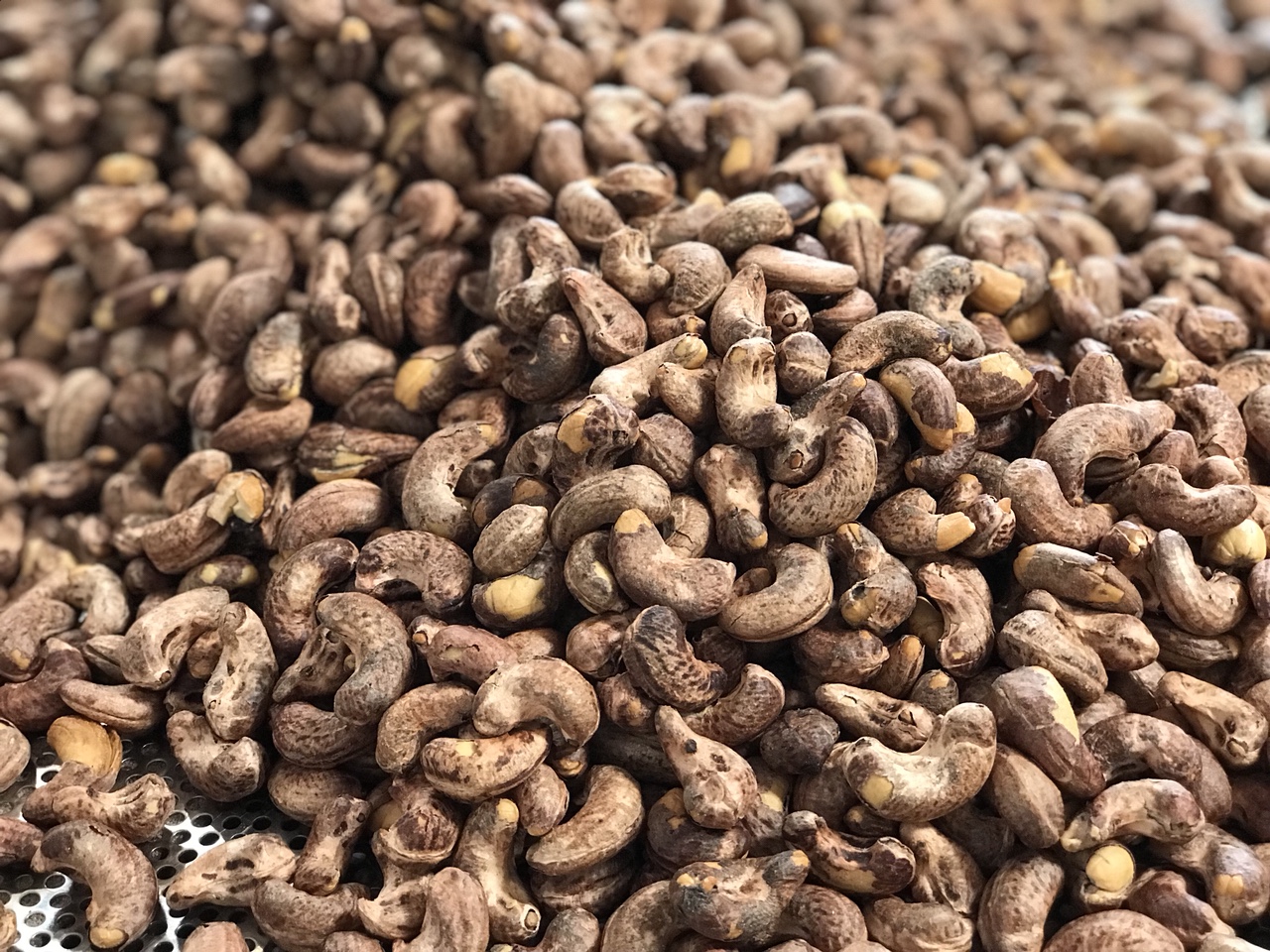 Việt Nam lần đầu nhập siêu hạt điều