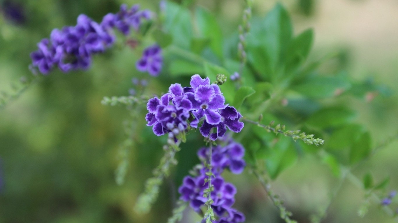 Tử vi 12 cung hoàng đạo ngày 27122021 Song Ngư cải thiện tài chính Thiên Bình  mơ mộng về tình yêu hoàn hảo