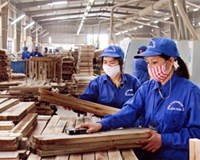 Gỗ Đức Thành GDT sắp thưởng cổ phiếu tỷ lệ 10 