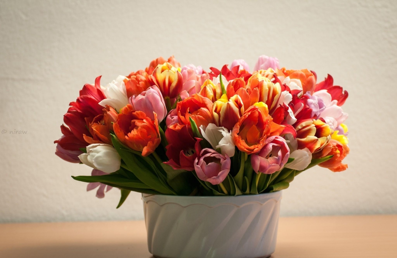 Tử vi ngày 28122021 Tuổi Sửu bước tiến vững chắc tuổi Thìn điềm báo tranh cãi