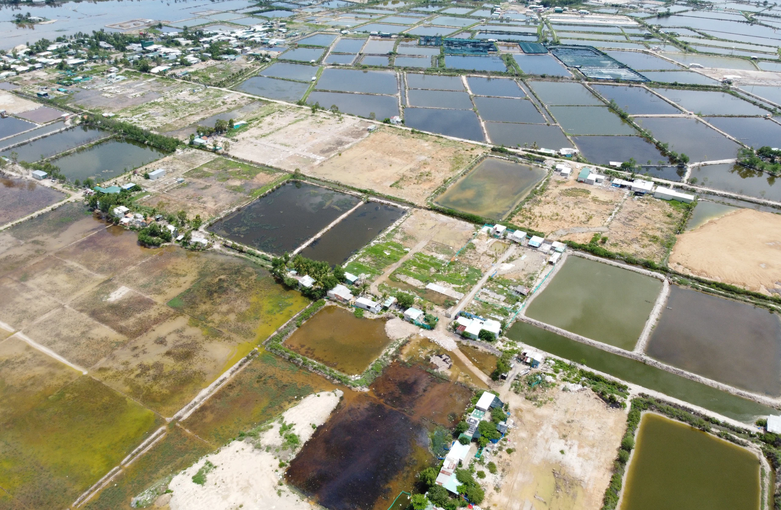 Khánh Hoà Siết chặt quản lý đất đai ngăn chặn tình trạng phân lô, bán nền tràn lan