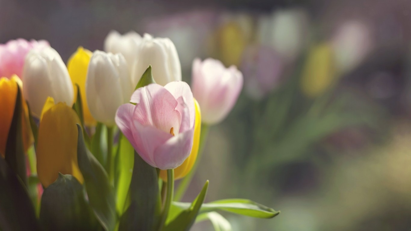 Tử vi 12 cung hoàng đạo ngày 30122021 Cự Giải sẽ nhận được một khoản tiền Xử Nữ bất an