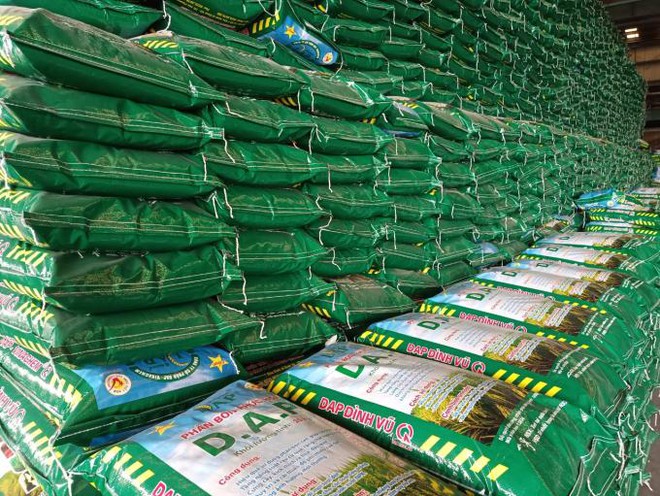 Không báo cáo giao dịch, cổ đông lớn DDV bị phạt 200 triệu đồng