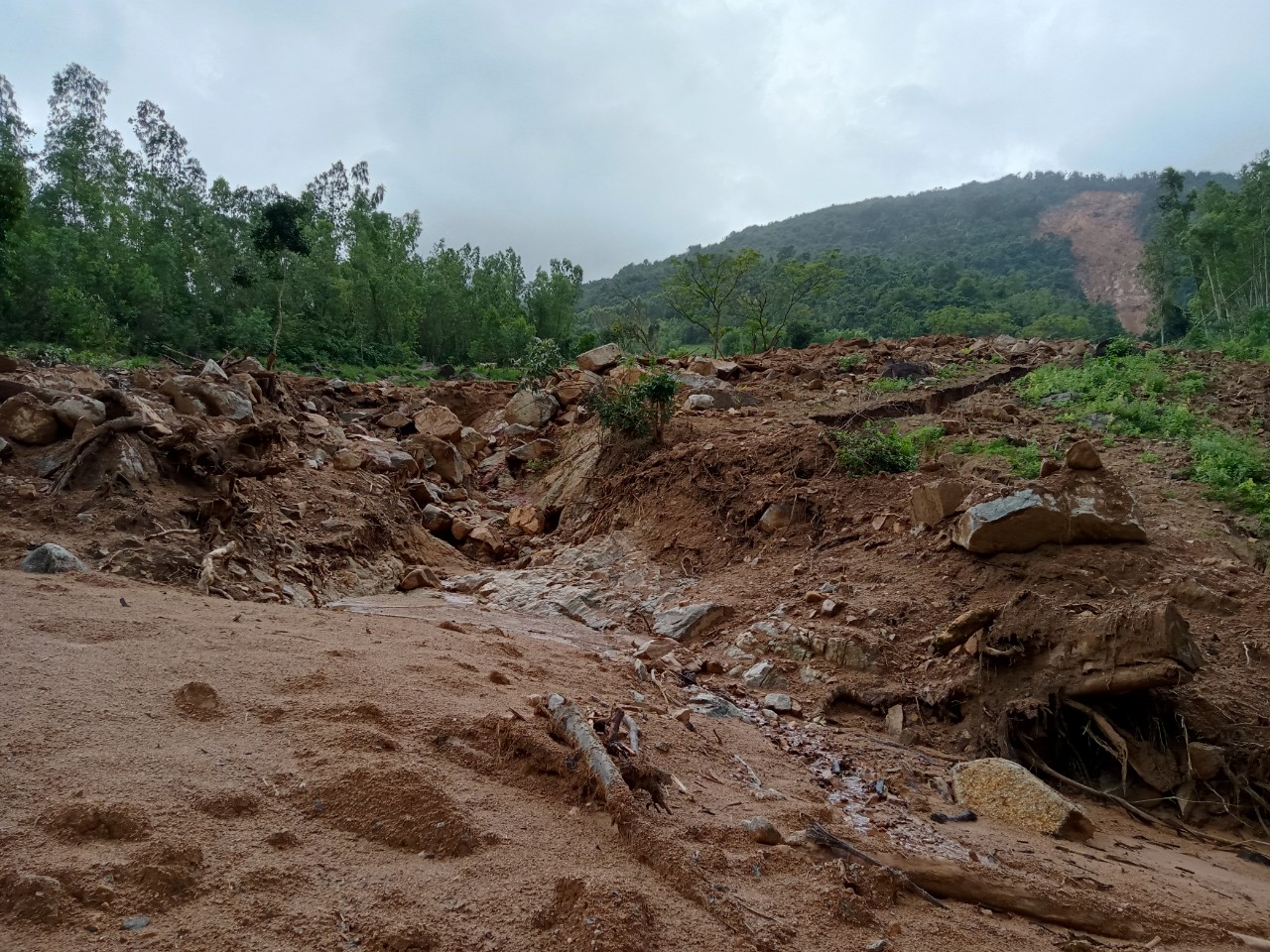 Bình Định Sạt lở tại núi Trang Dài, đất đá tràn xuống ruộng mới gieo sạ