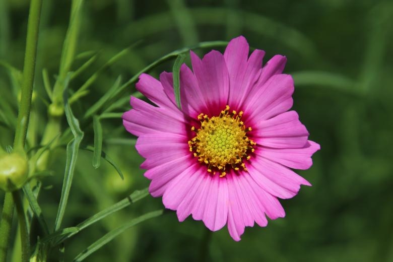 Tử vi 12 cung hoàng đạo ngày 512022 Bảo Bình vận may tiền bạc Nhân Mã cần bình tĩnh xử lý mọi chuyện