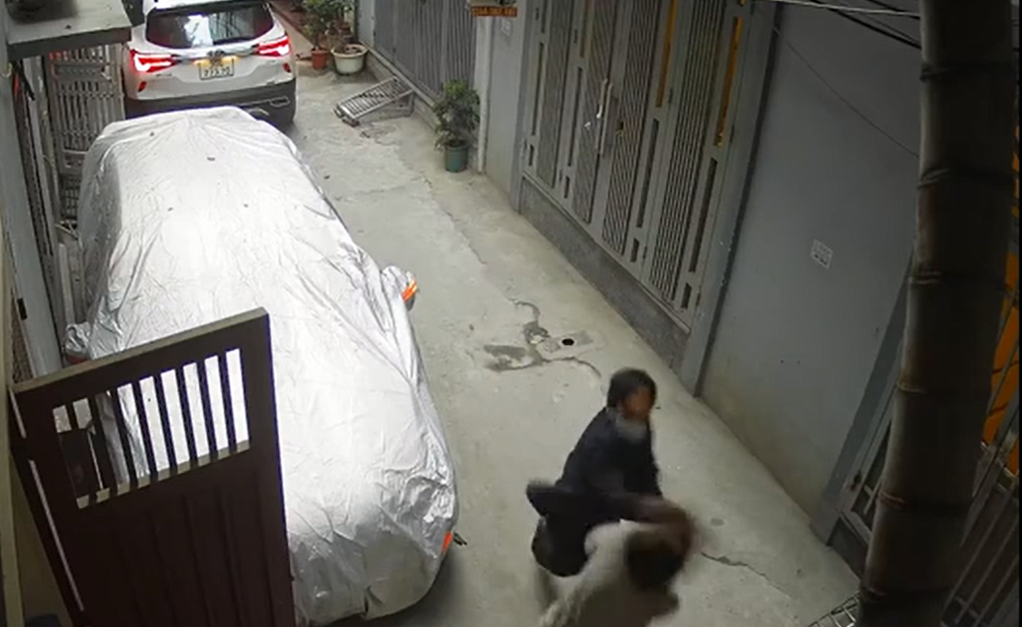 Phó vụ trưởng của Bộ TNMT bị tạm đình chỉ công tác sau vụ mạnh tay với hàng xóm